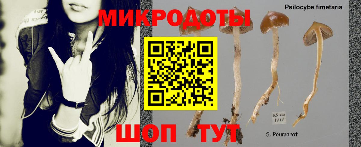 Галлюциногенные грибы MAGIC MUSHROOMS  Вход с VPN  Пенза  Псилоцибиновые грибы мицелий 